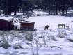 Winter Jigsaw Puzzle 